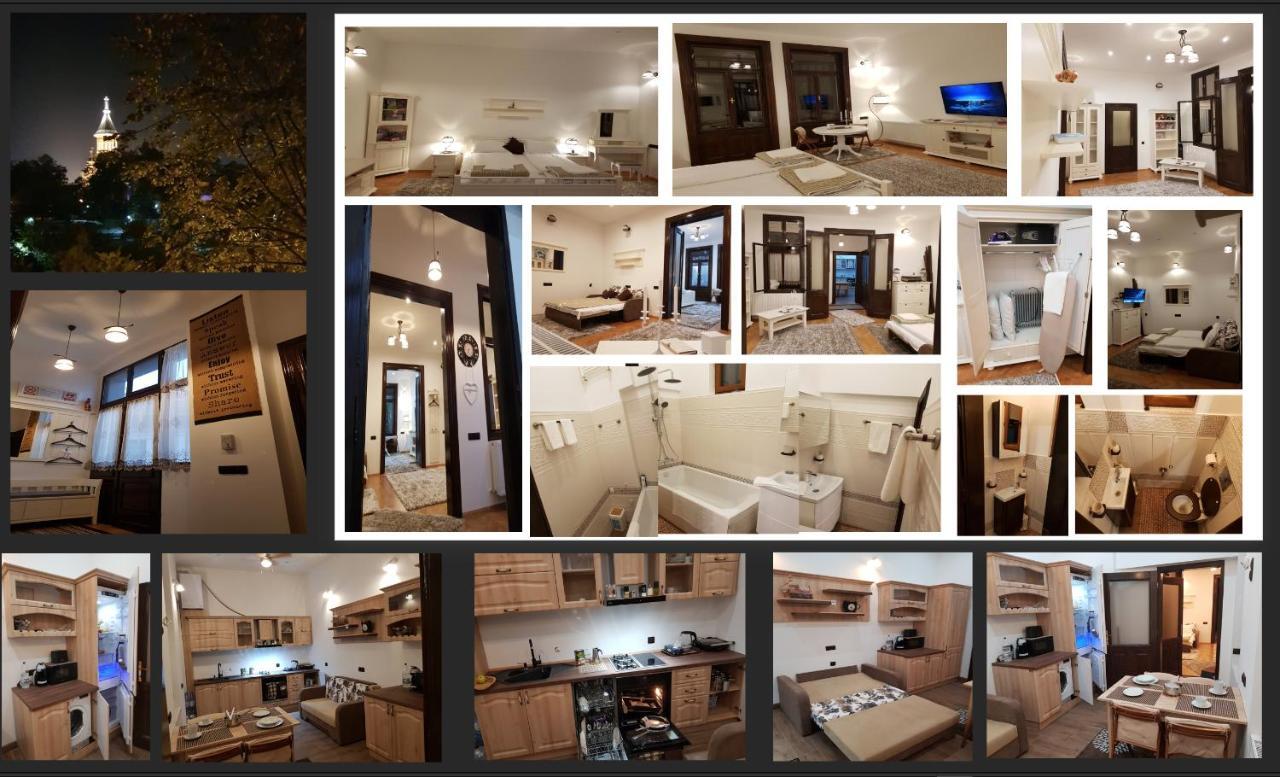 Ella Apartment Timisoara No11 ภายนอก รูปภาพ